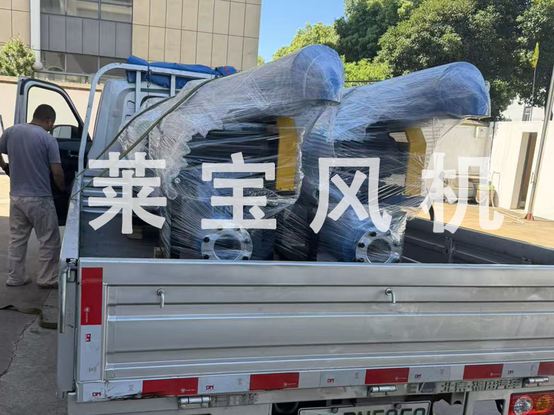 江苏莱宝四台罗茨鼓风机顺利发货，定制方案彰显制造实力